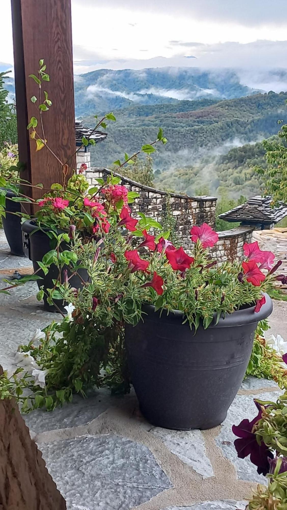 Guesthouse Selini Vitsa Exteriör bild